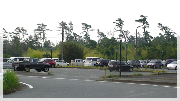 約100台は駐車可能な大駐車場になります。