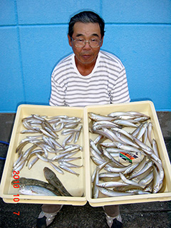 浜松市の戸田様が、釣り上げたキス119匹とマゴチ2匹と石持1匹