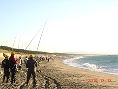 平松海岸防波堤前に並ぶキス釣りファン