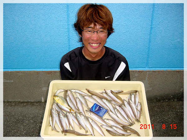 2011年8月15日　八木本様が駒場海岸にて釣り上げた、キス47匹（19cm～14.5cm）・カンパチ1匹。