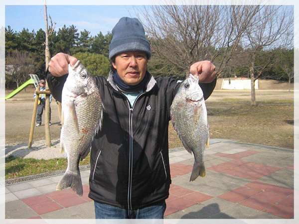 貝塚サーフ・磯ノ浦101尾会、野村道雄様が釣り上げた、キチヌ38.2〜46.2cm。
