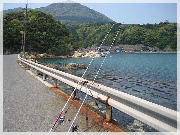 【萩市江崎湾の釣り場】初日は、道路から最初は半遊動テンビンの置き竿で。