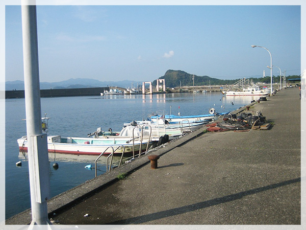 2015年9月5日、徳島県阿南市中林漁港での釣り場風景。