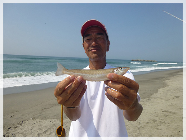 釣友が中田島海岸で釣り上げた、22cmの鱚。