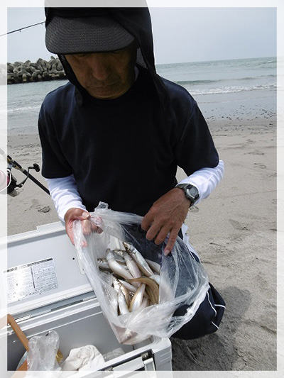 6月2日（火）・大潮4時52分満潮、中田島海岸での釣友のキス40尾以上！