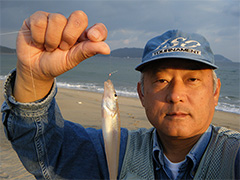 福岡市長浜海岸で釣り上げたキス18cm。