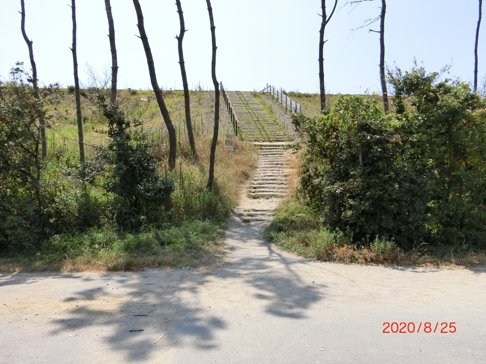 中田島海岸の駐車場南東端の車止めから東へ歩いた先に、防潮堤へ上る階段があります。