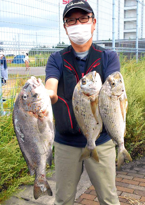 【週間投げ釣り情報】和歌山・串本でヘダイとコロダイ