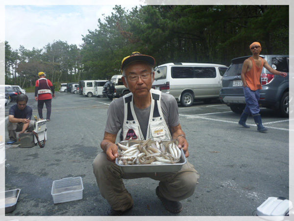 鈴木さんの釣果キス115匹（内、15cm以上の合格サイズは55匹）。