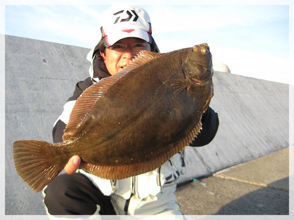 レインボーキャスターズの会長、松尾幸浩様が鳥取で釣り上げたマコガレイ48cm