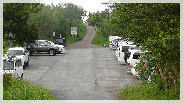 松林の中に約25台は駐車可能なスペースが現れます。
