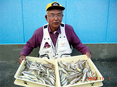 小島海岸にて鈴木様が釣り上げた、キス121匹!!