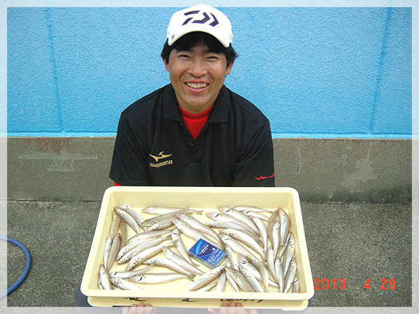 4月29日山田様が愛知県の浜田海岸にて釣り上げた、キス51匹。