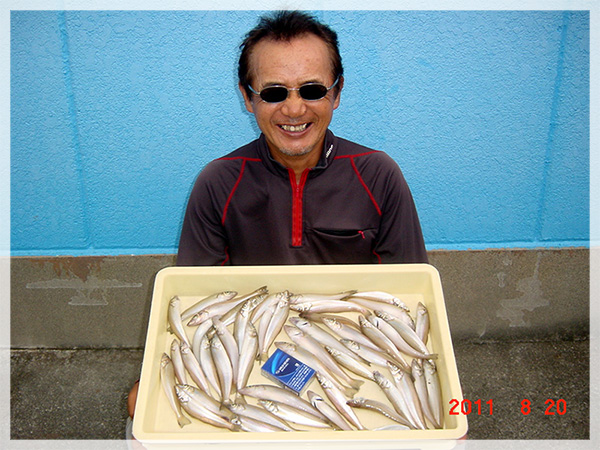 2011年8月20日　榛村様が小沢渡海岸にて釣り上げた、キス46匹（20cm～14.5cm）。