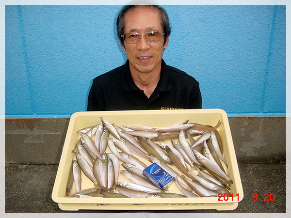 2011年8月20日　竹花様が小沢渡海岸にて釣り上げた、キス63匹（20cm～14.5cm）。