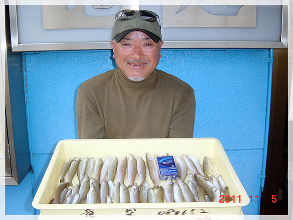 2011年11月5日　伊熊誠一様が赤沢海岸にて釣り上げた、キス56匹。