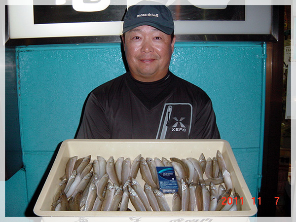 2011年11月7日　鈴木様が橋本海岸にて釣り上げた、キス68匹（小型キスは30匹ほどリリース）。
