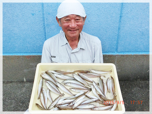 2015年9月5日（土）伊藤様が百々海岸にて釣り上げた、キス49尾。