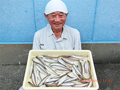 2015年9月5日（土）伊藤様が百々海岸にて釣り上げた、キス49尾。