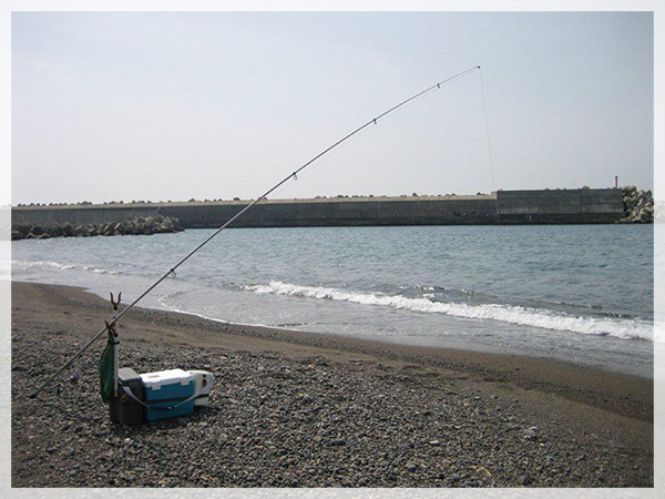 早春からキス釣りが楽しめる煙樹ケ浜。浜ノ瀬ではパールピンクの魚体が明快な魚信をくれた。