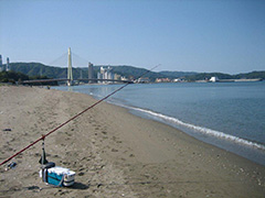 和歌山市浜ノ宮海岸の釣り場風景（マリーナシティ方向を見て）。