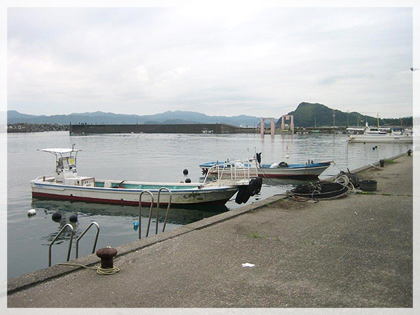徳島県阿南市中林漁港での釣り場風景（漁港）。