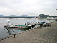 徳島県阿南市中林漁港での釣り場風景（漁港）。漁船が係留されていないところで竿出し。