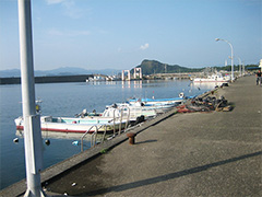 2015年9月5日、徳島県阿南市中林漁港。