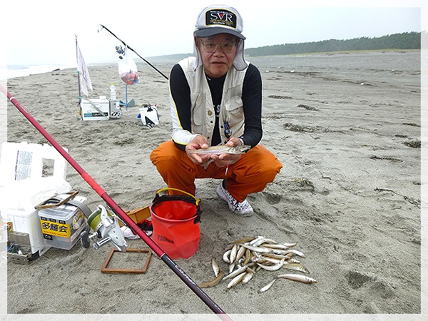 我がクラブの釣友、加藤さんが篠原海岸で釣り上げた良型キス。