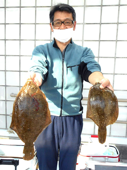 【週間投げ釣り情報】兵庫・淡路島でマコガレイ31＆37.5センチ