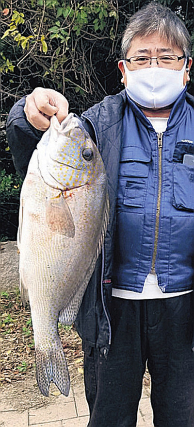 【週間投げ釣り情報】和歌山・日置川河口でコロダイ61.5センチ