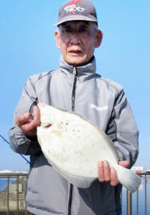 【週間投げ釣り情報】貝塚市人工島で大型マコガレイ40センチ