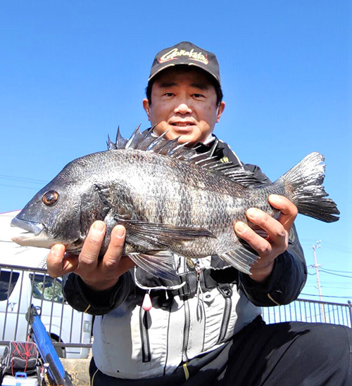 50センチの年なしチヌを釣り上げた西大阪サーフ・永沢さん