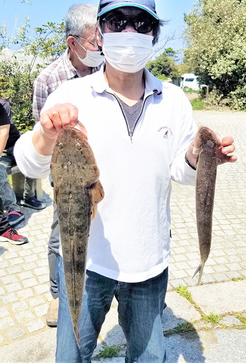 【週間投げ釣り情報】和歌山・紀の川河口でマゴチ55.1センチ！