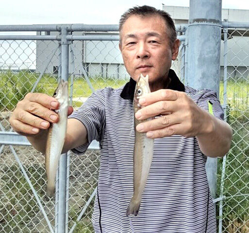 広島釣趣会の藤島さんは26.2と22.6センチのキスを釣り上げ誇らしげ
