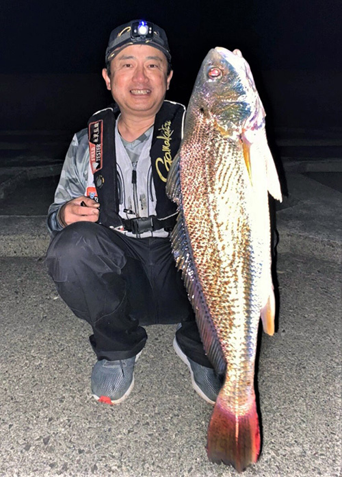 西大阪サーフ・永沢弘雄会長は58センチの特大ニベを釣り上げた