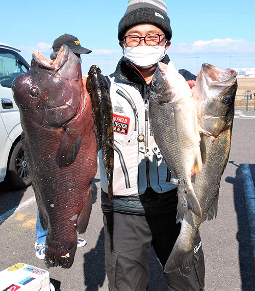 釣り上げたコブダイ、スズキ、キビレ、アブラメを手に誇らしげな西大阪サーフの永沢弘雄会長