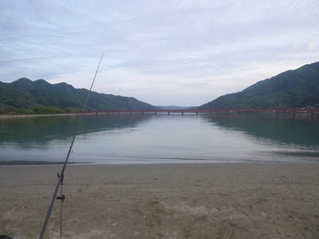 5月3日、4日　由良川河口でキス開幕、人ちゃんは良型つ抜け、伊達会長も快釣の巻